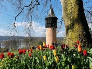 Insel Mainau The Flower Island - Need To Know Before You Go