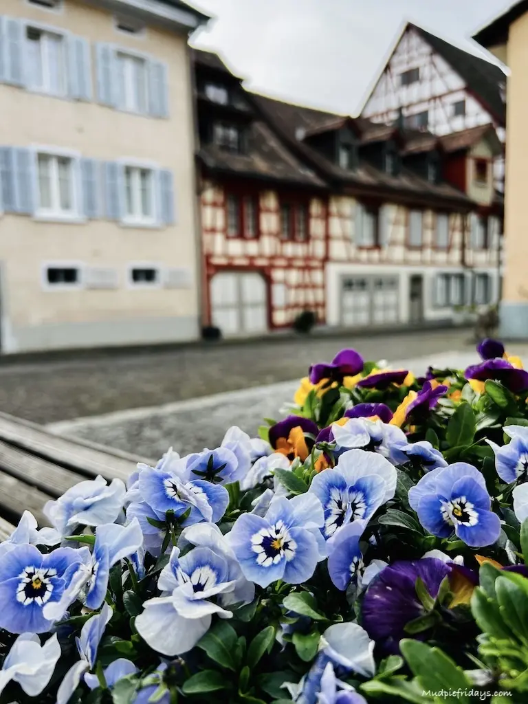 Flowers in front of some half timbered houses in a square in Switzerland