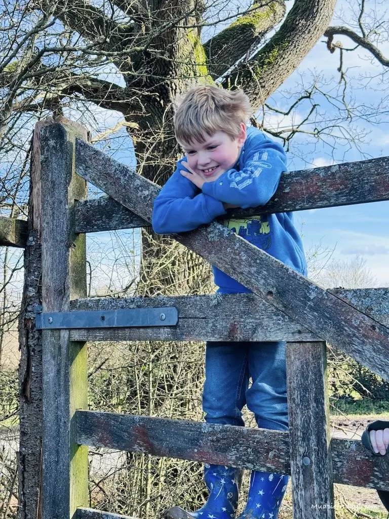 Harry hanging on the gate