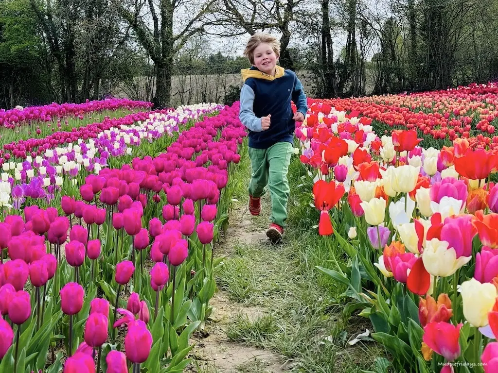 Harry running down one of the rows of flowers