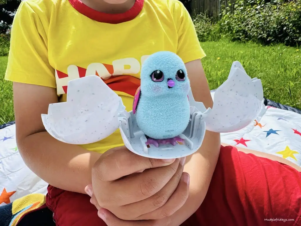 Harry holding a blue chick in a plastic egg - Little Life Pets Surprise Chick