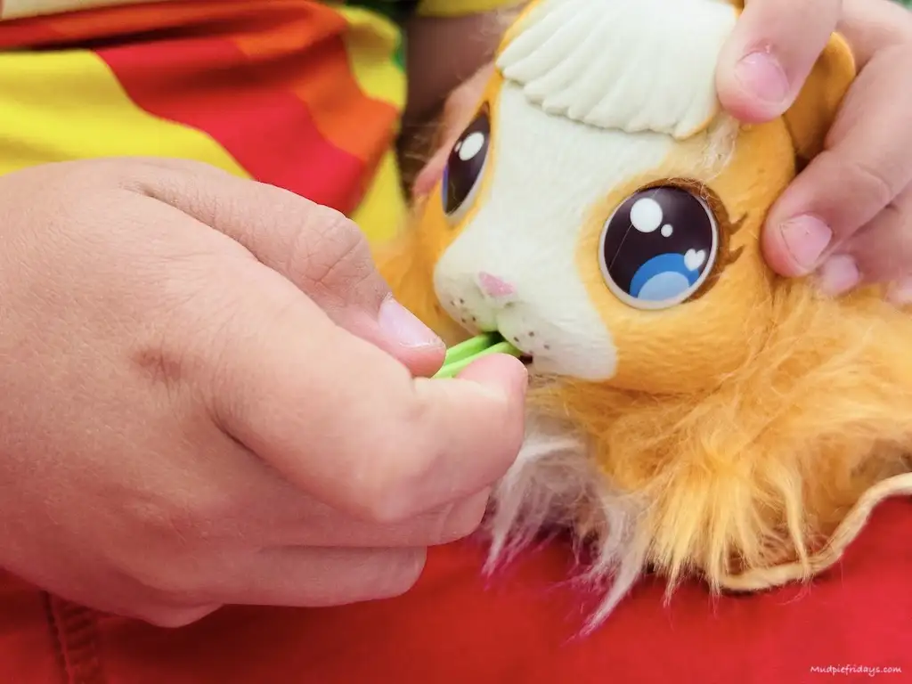 Harry feeding the toy pet guinea pig to make it feel loved so that it births baby guinea pigs