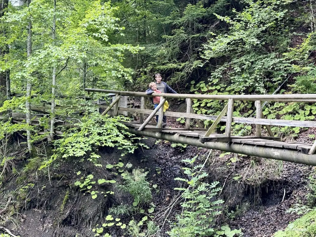 One of the bridges on the hiking trail