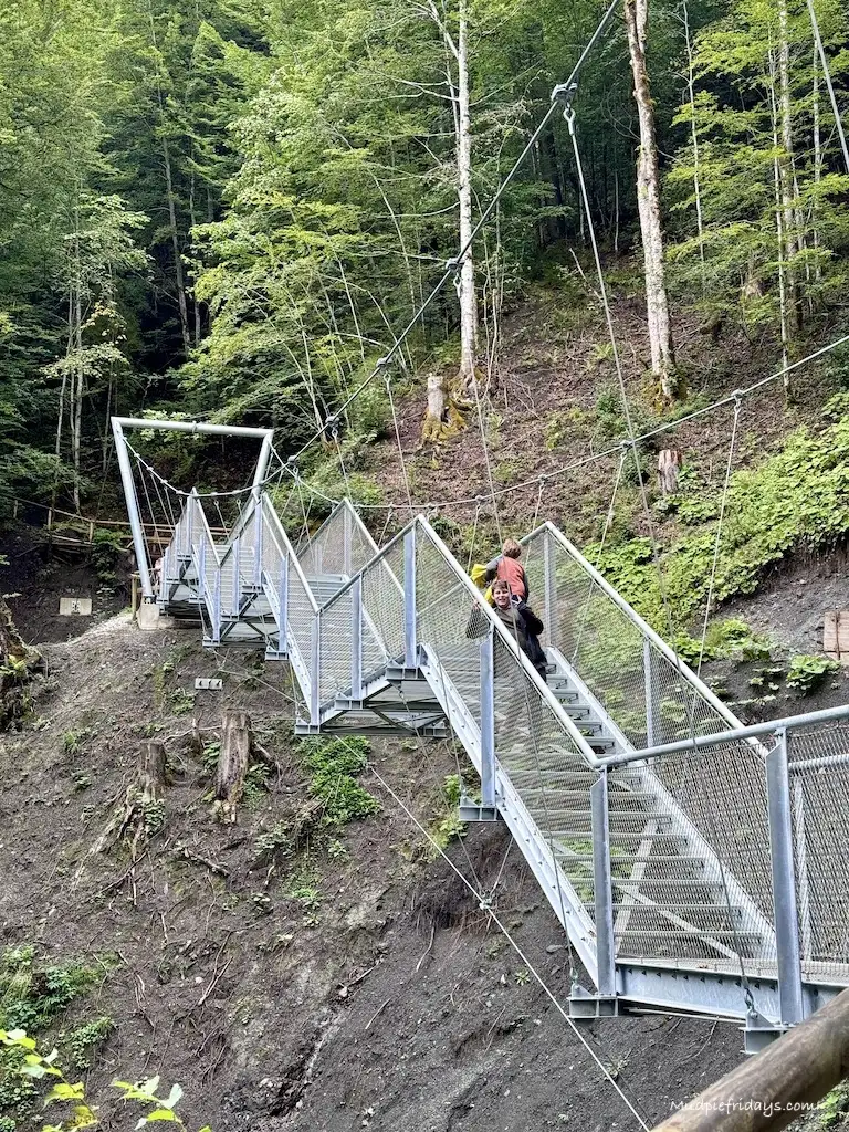 One of the bridges on the hiking trail