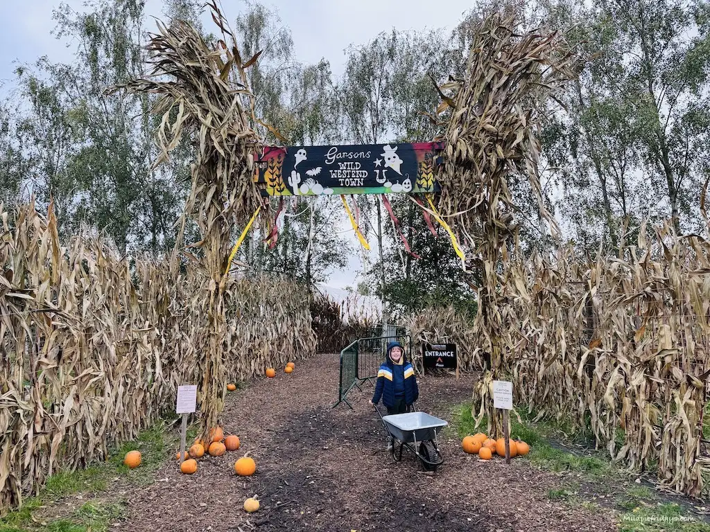 Harry under the entrance to the pumpkins with a wheelbarrow
