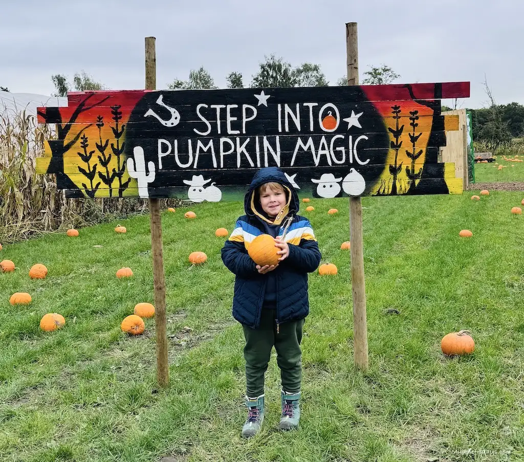 harry posing in front of the sign at the entrance