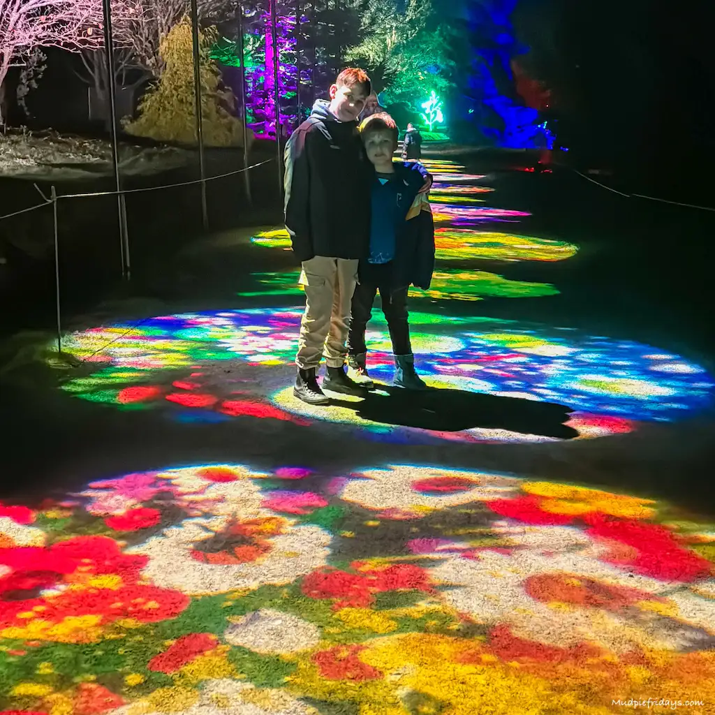 The boys in the light trail with flowers on the floor