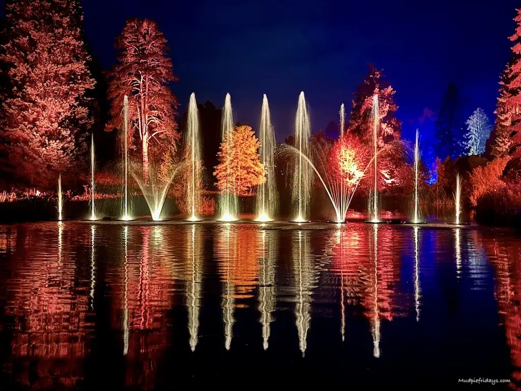Light show on the lake at Bedgebury Christmas