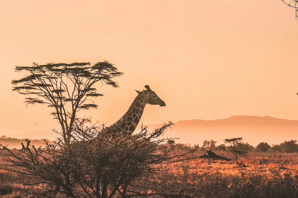 Family wildlife adventures inspire learning and conservation