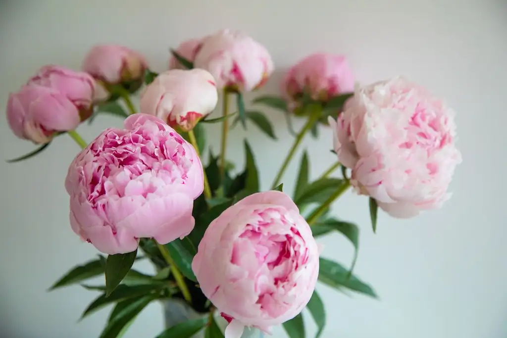 Pretty Flower Gift Ideas for People Who Love Their Home