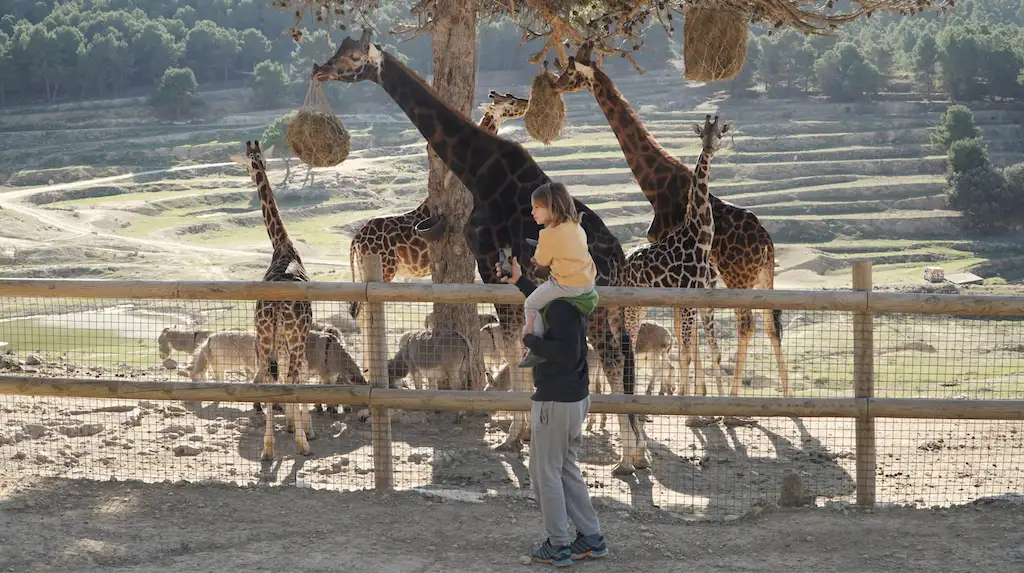 Why Exotic Family Holidays Are More Doable Than You Think
