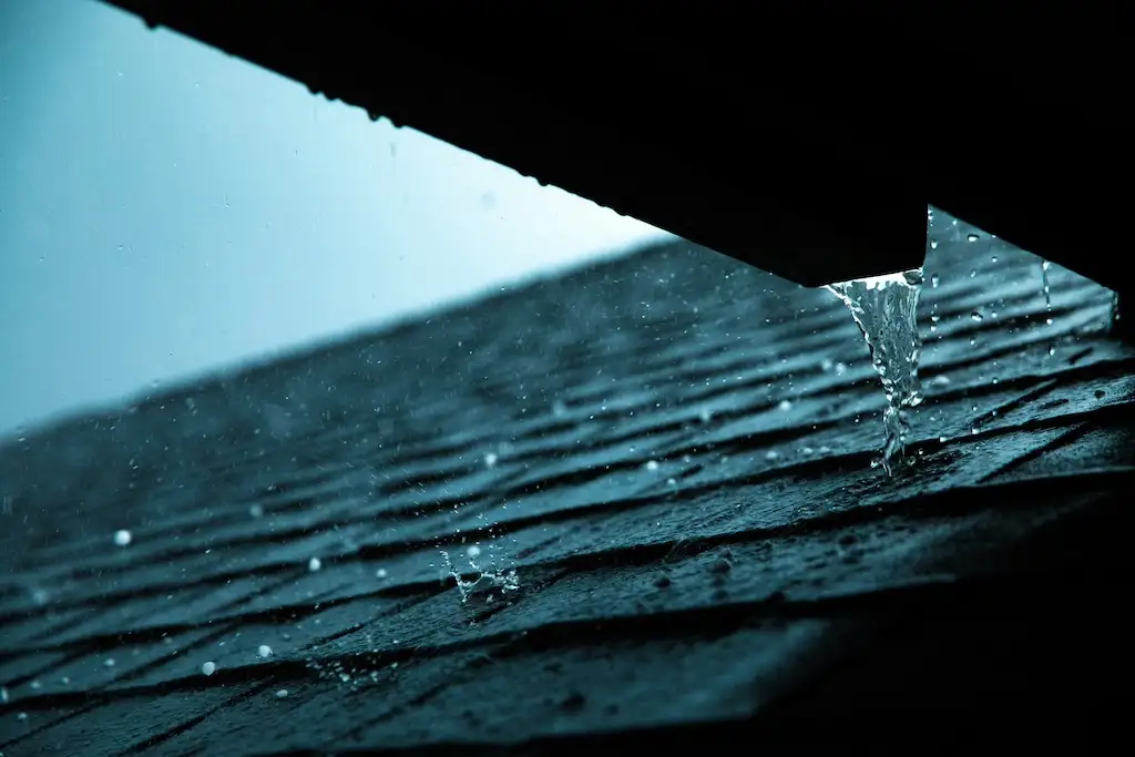 Why Small Moisture Leaks Cause Massive Headaches